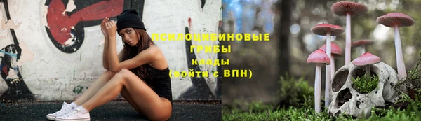 МДМА Козловка