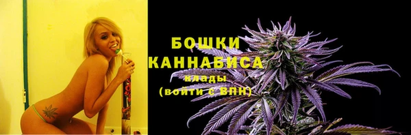 прущие грибы Козельск