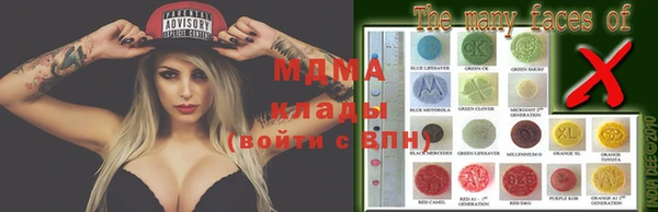 прущие грибы Козельск
