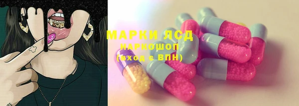 прущие грибы Козельск