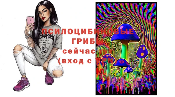 МДМА Козловка
