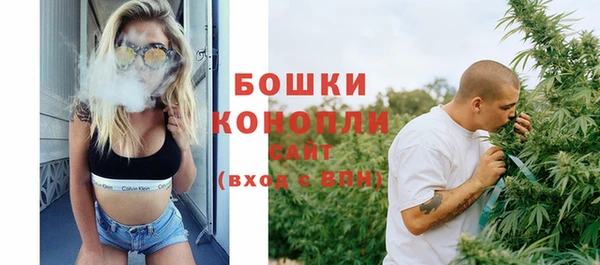 прущие грибы Козельск