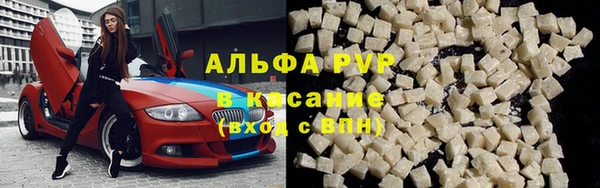 ПСИЛОЦИБИНОВЫЕ ГРИБЫ Кодинск
