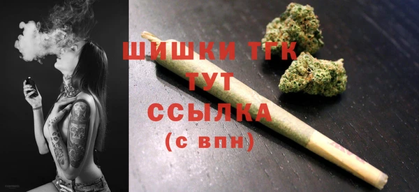 прущие грибы Козельск