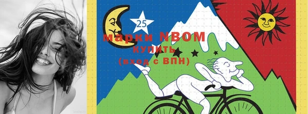 ПСИЛОЦИБИНОВЫЕ ГРИБЫ Кодинск