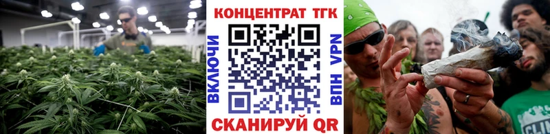 ТГК Wax  Купить  Ельня 
