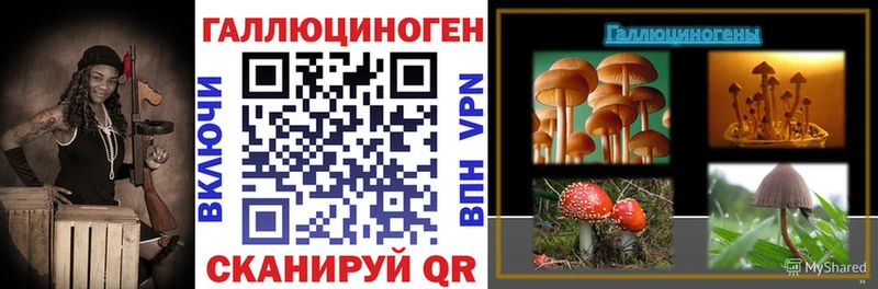 Купить где  Ельня  Галлюциногенные грибы Psilocybe 